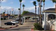 Top McAllen
