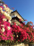 Villa House of Dream