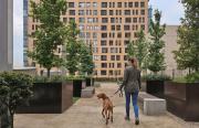 Top Meksyk