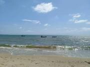 Top Rincón