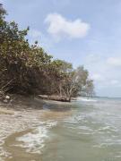 Top Rincón