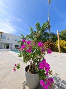 Suite frente al Mar con Acceso Directo a la Playa
