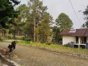 Top Ciguntur