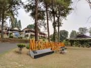 Top Ciguntur