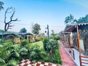 Top Jhirna