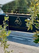 Top Chiavari