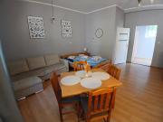 Top Swornegacie Top Swornegacie