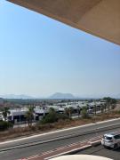 Top Algorfa