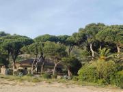 Top Sperlonga