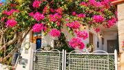 Top Amalfi Top Amalfi