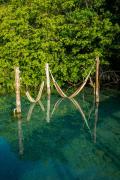 Top Bacalar