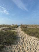 Top Oak Island