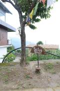 Top Narendranagar