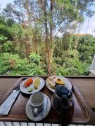 Top Ubud