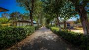 Top Capoliveri