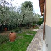 Top Fiesole