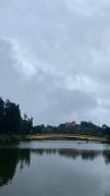 Top Mirik