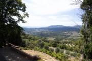 Top Fiesole