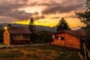 Cabana doi mesteceni