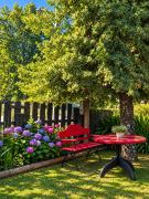 Top Villarrica