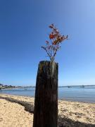 Top Provincetown