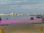 Top Provincetown