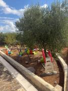 Top Putignano