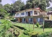 Top Binsar