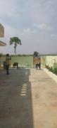 Top Puttaparthi