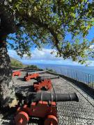 Top Faial