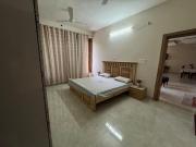 Top Ludhiana
