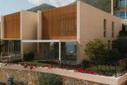 Top Palasë