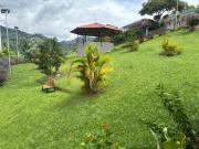 Top Buenavista