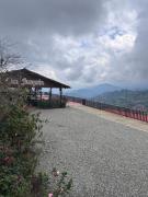 Top Buenavista
