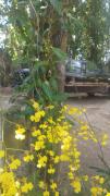 Top Porto Seguro