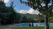 Top Margalef