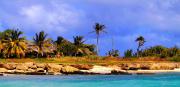 Seascape Beach House Surferspoint Barbados