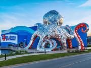 Top Kimberling City