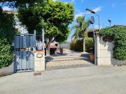 Top Scafati