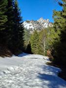 Top Vionnaz