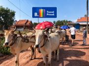 Authentic Khmer Homestay Experience Package by Siem Reap Homesteading