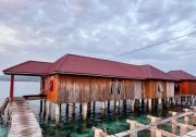 Top Pulau Malingi