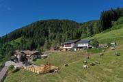 Top Valfloriana