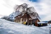 Top Stainach