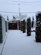 Top Gulmarg