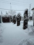 Top Gulmarg