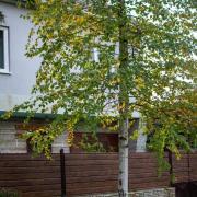 Top Drégelypalánk