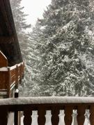 Top Courmayeur