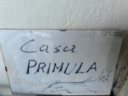 Top Pessinetto