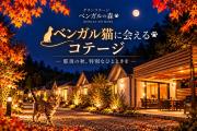 グランコテージベンガルの森